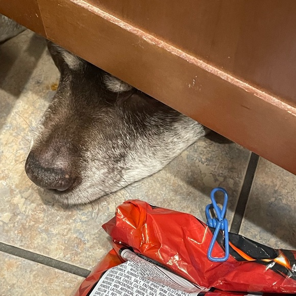 Meet your Posher, Angela - Picture 6 of 16